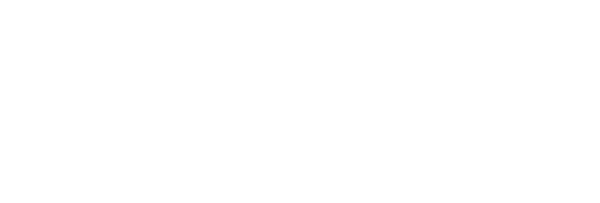 Bingham logo white